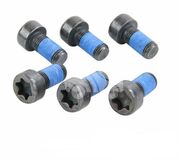 Болт маховика TZZ1005